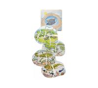 Puzzle développement GRENOUILLES