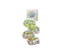 Puzzle développement grenouilles