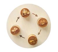 Puzzle d'évolution des animaux éducatif Puzzle Animaux Jeu d'apprentissage de l'évolution Animal Pour de biologie Pour du Cycle de Vie des animaux d'appre