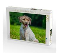 Puzzle · Die Welt ist schön | Lagotto Romagnolo Hündin · 1000 pièces · Format assemblé 64 × 48 cm · CALVENDO Puzzle