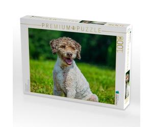 Puzzle · Die Welt ist schön | Lagotto Romagnolo Hündin · 1000 pièces · Format assemblé 64 × 48 cm · CALVENDO Puzzle
