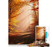 Puzzle Difficile Chemin apaisant en forêt dorée d'automne pour Adultes, 1000 pièces, défi Mental, Jeu de détente, découpe précise, Cadeau mémorable (50x75cm)