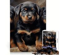 Puzzle Difficile de 1000 pièces représentant des Chiots Rottweilers, idéal pour Adultes Jeu de logique et d'adresse, à Partager en Famille Pièce de Collection aux découpes précises (38x26cm)