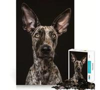 Puzzle Difficile de 1000 pièces représentant Un Chiot tacheté, idéal pour Adultes Jeu Intelligent et Amusant, découpe précise, Cadeau Artistique 50x75cm
