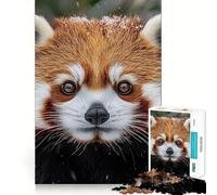Puzzle Difficile de 1000 pièces représentant Un Panda Roux dans la Neige en Hiver, idéal pour Adultes Un Jeu de logique Fine, Relaxant et Amusant, avec des Bords Nets Un Cadeau attentionné (38x52cm)