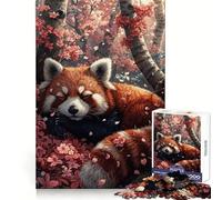 Puzzle Difficile de 1000 pièces représentant Un Panda Roux endormi dans Un Sakura, idéal pour Les Adultes Jeu de logique Pure, activité la Maison, découpe Nette, Joli Cadeau (50x75cm)