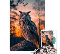 Puzzle Difficile pour Adultes 1000 pièces Motif Hibou Coucher de Soleil et Animaux Jeu éducatif et Amusant pour Femmes (50x75cm)