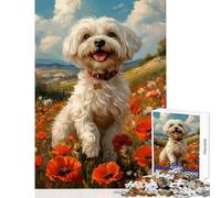 Puzzle Difficile pour Adultes 1000 pièces représentant Un Bichon Havanais dans Un Champ de Coquelicots Décoration Murale Cadeau d'anniversaire ou Jeu éducatif Chaque pièce est Unique 38x52cm