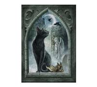 Puzzle Difficile pour Adultes 38x26cm/1000pcs Through Midnights Gate Puzzle, Jouet, Décoration Murale, Motif À Assembler, pour Les Jeux 38x26cm/1000pcs