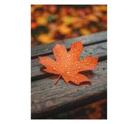 Puzzle Difficile pour Adultes 75x50cm/1000pcs Autumn Leaf with Dew Drops Puzzles pour Adultes, Jeux en Famille, Défi Éducatif Difficile 75x50cm/1000pcs
