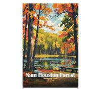 Puzzle Difficile pour Adultes 75x50cm/1000pcs Sam Houston Forest National Park Puzzles pour Adultes, Jouets Anti-Stress, Décoration Intérieure, Cadeau d'anniversaire, Cadeaux, 75x50cm/1000pcs