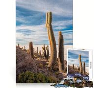 Puzzle Difficile Salines de Bolivie pour Adultes, 1000 pièces, Jeu de logique Fine, Moment de détente et de Plaisir, Bords Nets, (38x52cm)