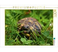 Puzzle · Dîner aux Tortues | Bébé tortue terrestre grecque · 1000 pièces · Format assemblé 64 × 48 cm · CALVENDO Puzzle