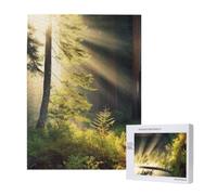 Puzzle d'intelligence en bois 38 x 52 cm, puzzle imprimé lumière du soleil matinale dans la nature sauvage, 500 pièces (boîte) jeu éducatif pour adultes, puzzle de décoration de la maison