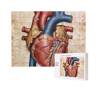 Puzzle d'intelligence en bois de 52 x 38 cm, puzzle imprimé sur le thème de l'anatomie humaine, 500 pièces (boîte), jeu éducatif pour adultes, décoration de la maison