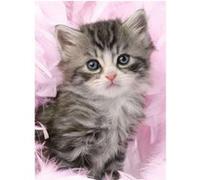 Puzzle douceur de chaton 500 pieces - Ravensburger G