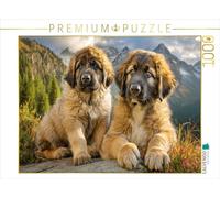 Puzzle · Doux Chiots Leonberger | Double bonheur moelleux · 1000 pièces · Format assemblé 64 × 48 cm · CALVENDO Puzzle