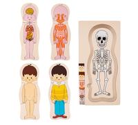 Puzzle du Corps Humain pour Les - Modèle d'anatomie en Bois de 30 cm, Puzzle d'apprentissage | Apprentissage préscolaire Parfait, récréation éducative, activités Parents-, reconnaissanc