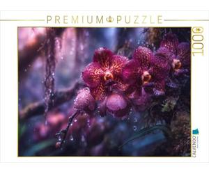 Puzzle · du Silence naît Un Miracle de lumière et de Forme | 1000 pièces · Format assemblé 64 × 48 cm · CALVENDO Puzzle