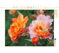 Puzzle · Duo de roses orange-rose | Portrait de roses · 1000 pièces · Format assemblé 64 × 48 cm · CALVENDO Puzzle
