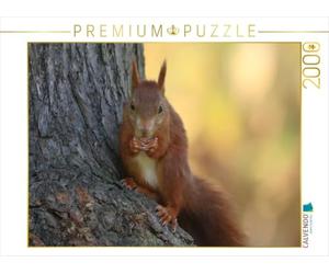 Puzzle · é uil | Un é uil en train de se nourrir · 2000 pièces · Format assemblé 90 × 67 cm · CALVENDO Puzzle