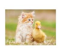 Puzzle 500 ADORABLES AMIS