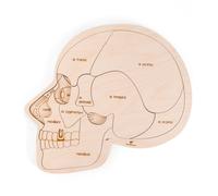 Puzzle éducatif en bois - l'anatomie de la tête