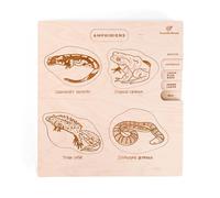Puzzle éducatif en Bois - Les stades de développement des Amphibiens