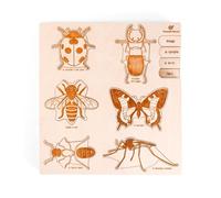 Puzzle éducatif en bois - les stades de développement des insectes