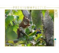 Puzzle · Eichhörnchen zwischen Blättern und Beeren
