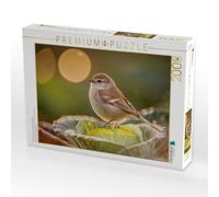 Puzzle · EIN Moment zwischen Atem und Eleganz | Besondere Vogelportraits · 2000 pièces · Format assemblé 90 × 67 cm · CALVENDO Puzzle