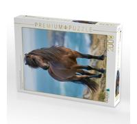Puzzle · EIN Motiv aus dem Kalender Islands Wilde Pferde | 2000 pièces · Format assemblé 90 × 67 cm · CALVENDO Puzzle