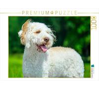 Puzzle · EIN Motiv aus dem Kalender Lagotto Romagnolo