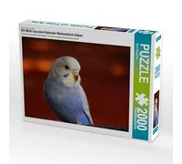 Puzzle · EIN Motiv aus dem Kalender Wellensittich-Küken 2000 Teile Puzzle | quer · 2000 pièces · Format assemblé 90 × 67 cm · CALVENDO Puzzle