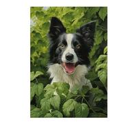 Puzzle Élégant Border Collie in Green pour Adultes, Format 300 PCS