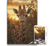 Puzzle élégant et Difficile Coucher de Soleil avec Girafe pour Adultes, 1000 pièces, Jeu éducatif Stimulant l'esprit, Cadeau Unique à Forte Valeur sentimentale, Dimensions:50x75cm