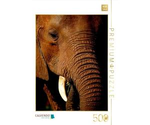 Puzzle · Éléphant... Face à Face | Face à face avec l'éléphant · La faune à l'état pur · 500 pièces · Format assemblé 48 × 36 cm · CALVENDO Puzzle