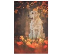 Puzzle en 1000 Pièces Golden Retriever Puzzles Jouets Éducatifs pour Adulte Cadeau d'anniversaire（38x26）（Paper）