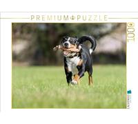Puzzle · en Avant Toute | Bouvier d'Appenzell en train de jouer · 1000 pièces · Format assemblé 64 × 48 cm · CALVENDO Puzzle