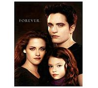 Puzzle en Bois 100 pièces, Affiches du Film Twilight, Jouet pour Adultes, Jeu de décompression, 45,5 x 35,5 cm