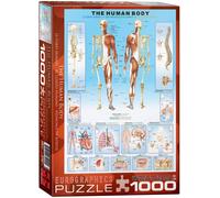 Puzzle En Bois 1000 Pièces Du Corps Humain 680Mm X 490Mm (Pz)