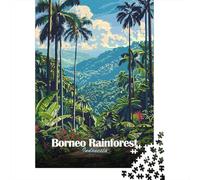 Puzzle en Bois 1000 pièces pour Adultes, Borneo Rainforest Indonesia De | Pour les w nds d'hiver : ce puzzle adulte 1000 pièces apporte un puzzle classique aux loisirs du Nouvel An.
