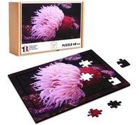 Puzzle en bois 48 Pièces Fabulous - Anemone de Mer Rouge et Rose (28 x 20 cm) G