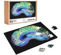 Puzzle en bois 48 Pièces Fabulous - Scanner Cerveau Image Medical (28 x 20 cm) G
