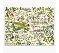 Puzzle en bois Adolphe Millot Plantes médicinales Illustration scientifique ancienne Larousse Encyclopédie de la langue française 300 pièces 38x26 cm jouet décoration m