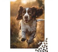 Puzzle en Bois Adulte 1000 Pièces Springer Spaniel Anglais Jeu de Défiant Adulte 1000 Pièces (75x50cm)