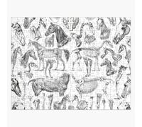 Puzzle en bois Anatomie du cheval (noir sur blanc) 300 pièces 38x26 cm jouet décoration mura