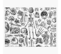 Puzzle En Bois Anatomie Humaine, Impression Blanche 300 Pièces 38x26 Cm Jouet Décoration Mura