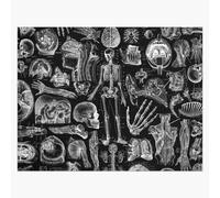 Puzzle En Bois Anatomie Humaine, Impression Noire 300 Pièces 38x26 Cm Jouet Décoration Mura