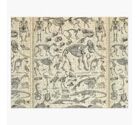 Puzzle En Bois Anatomie Squelettique 300 Pièces 38x26 Cm Jouet Décoration Mura